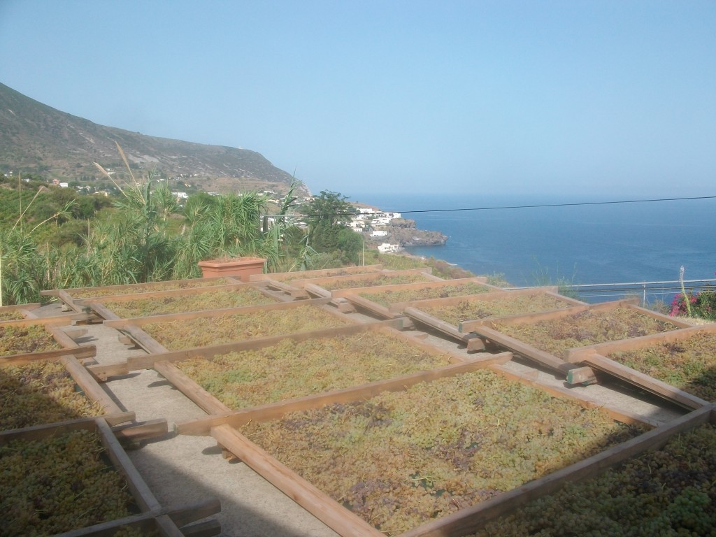 image (2)